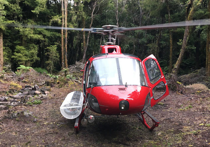 PHL - Agricultural Services - Helicopter Forestry Development
