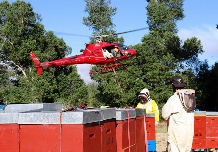 PHL - Agricultural Services - Helicopter Beehive Transport