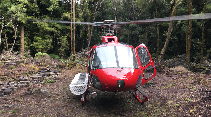PHL - Agricultural Services - Helicopter Forestry Development