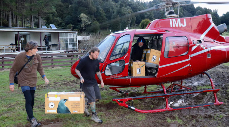 Department Of Conservation New Zealand Campsites